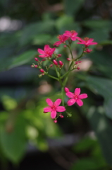 IMGP2803
