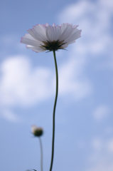IMGP2565