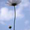 IMGP2565