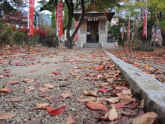 DSCN0368