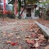 DSCN0368