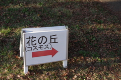 IMGP0033