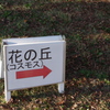IMGP0033
