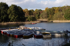 IMGP0540