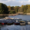 IMGP0540