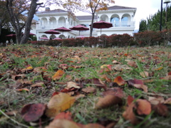 DSCN0380
