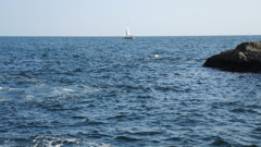 DSCN0141