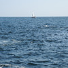 DSCN0141
