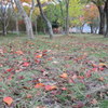 DSCN0382