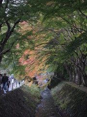 DSCN0412