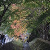 DSCN0412