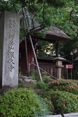 IMGP2852