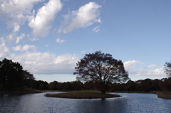 IMGP0527