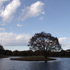 IMGP0527