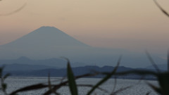 DSCN0148