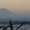 DSCN0148