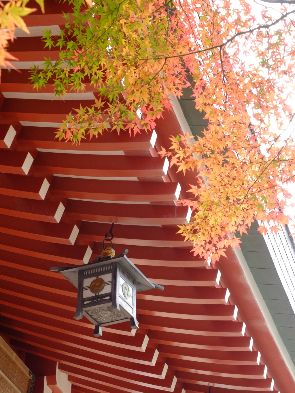 大山阿夫利神社