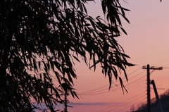 2012年4月1日の夕焼け　3