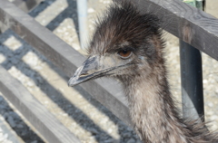 掛川花鳥園にて