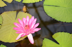 掛川花鳥園にて