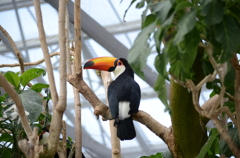 掛川花鳥園にて