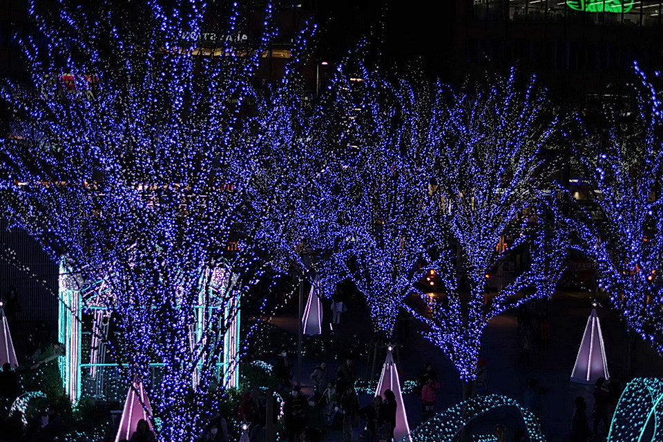 電球の集団芸