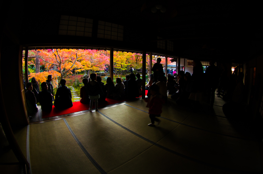 眩い世界