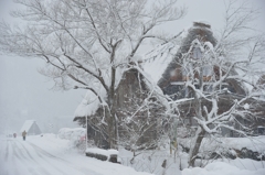 白川郷雪景色