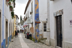 CSC_2228