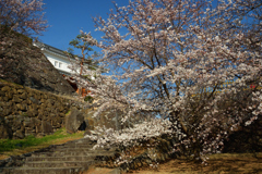 甲府　鶴舞城