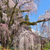 身延山久遠寺