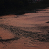 紀ノ川夕景
