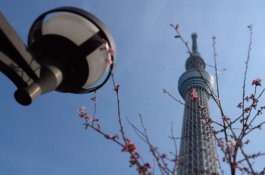 新しい春の訪れ