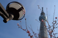 新しい春の訪れ