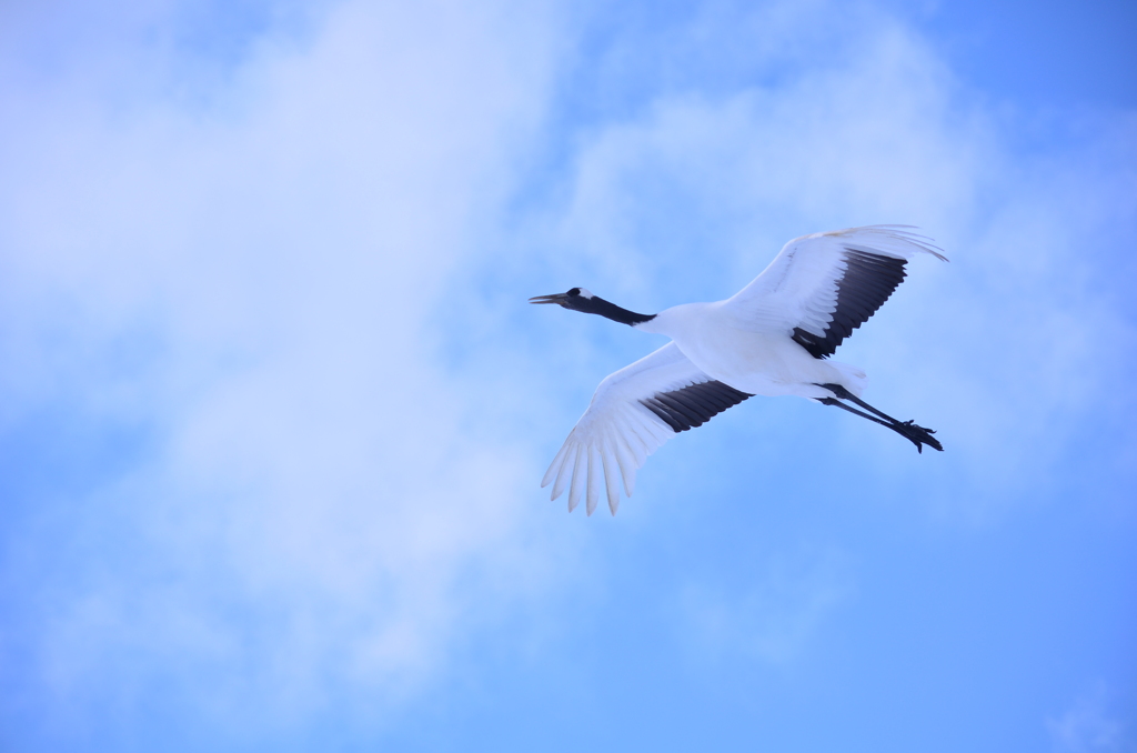 空の美人さん