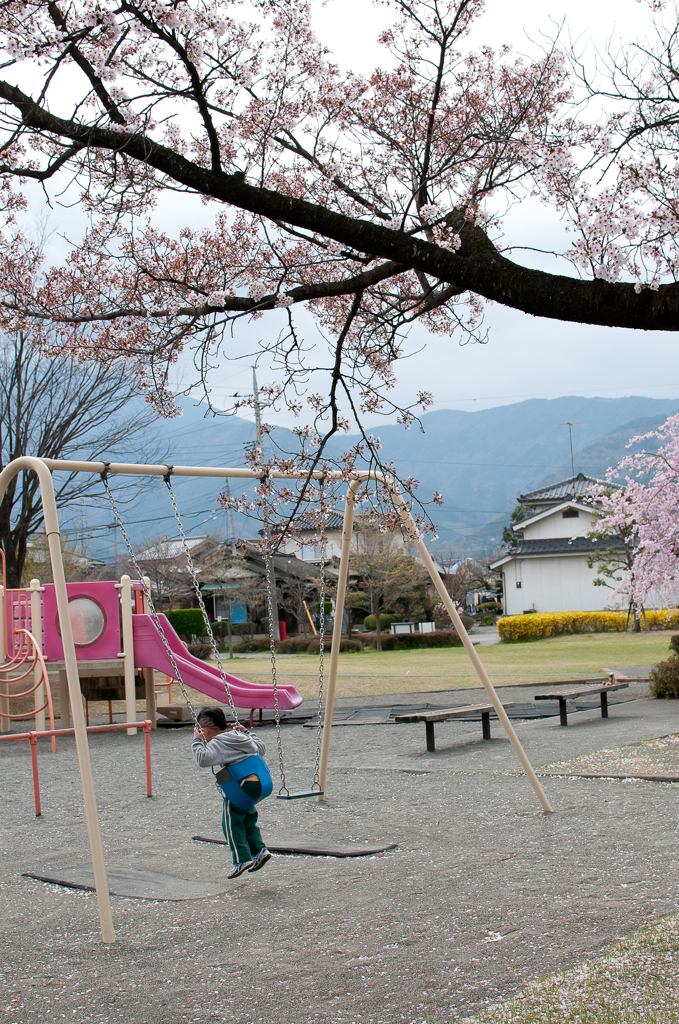 公園での一コマ