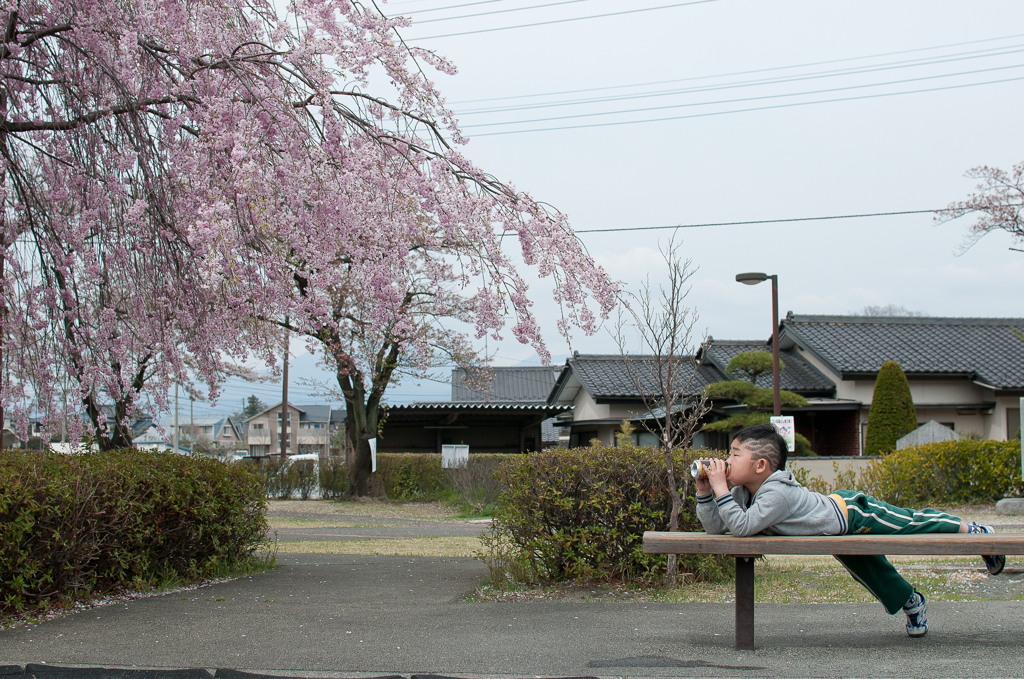 桜を見ながら一杯（笑）