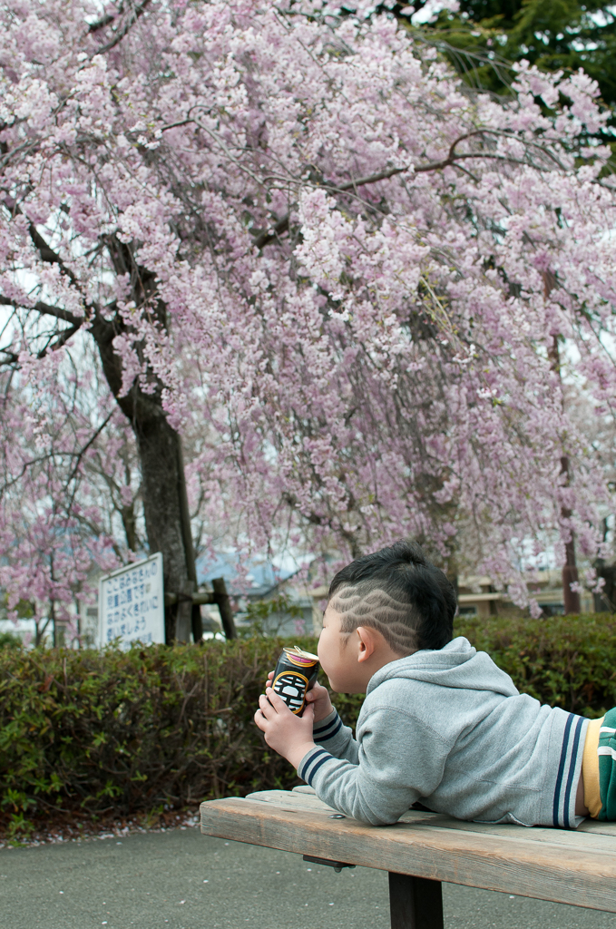 桜を見ながら一杯（笑）