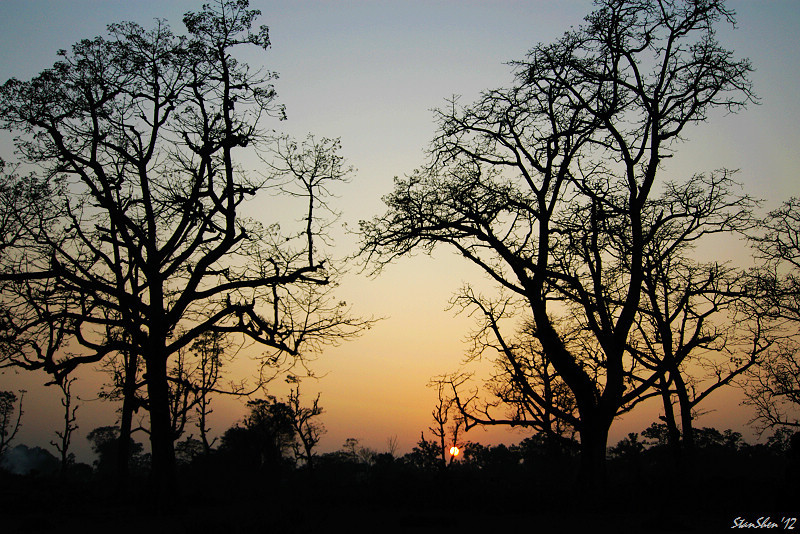 Nepal Chitwan National Park