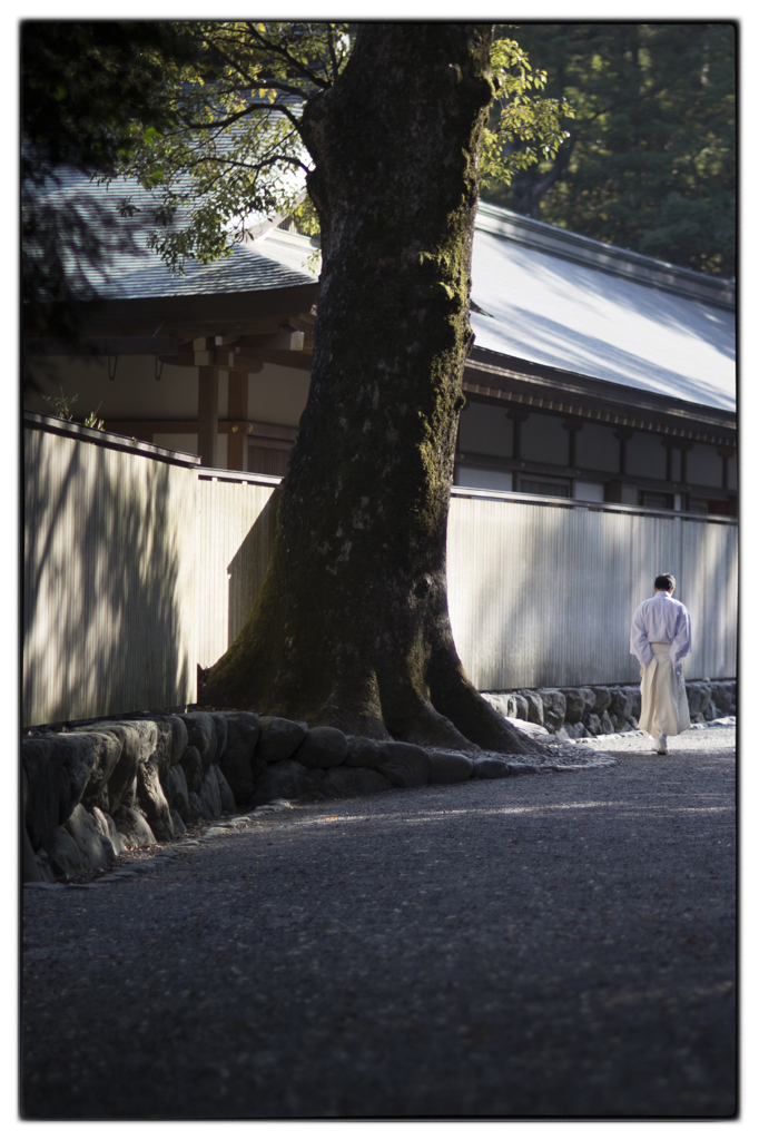 第62回伊勢神宮式年遷宮