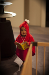 我が家には妖精がすんでいます。