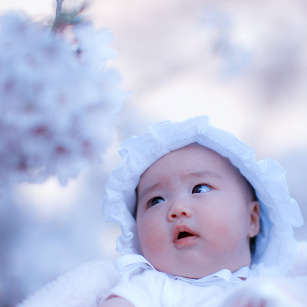 3ヶ月　初めての桜