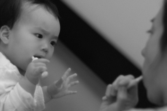 歯磨き始めました！