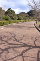 小道のアート