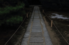 京都　〜松と石畳〜