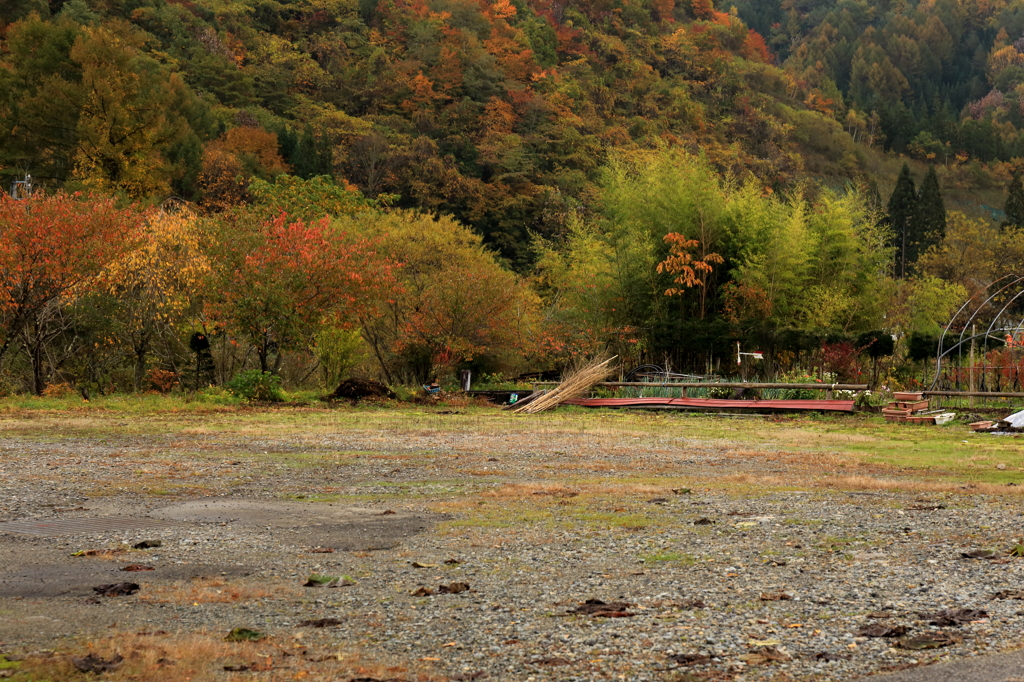 日常と紅葉　ー紅葉2013-