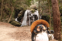 鶏鳴の滝　案内→狸