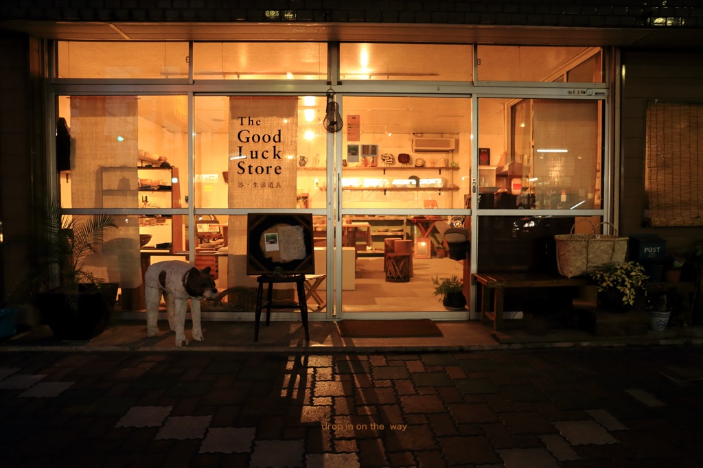 the good luck store