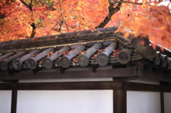 南禅寺　Ⅲ　瓦と紅葉