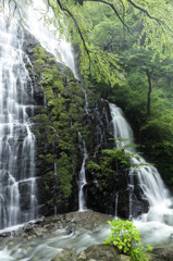 龍双ヶ滝　2014夏